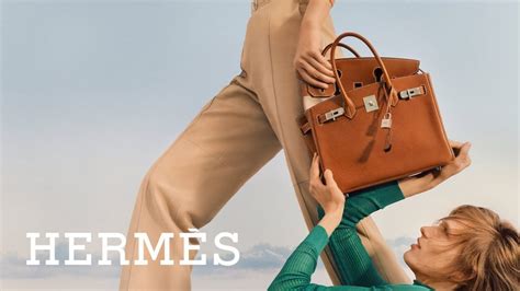 hermes birkin bag lawsuit|hermes vs rothschild case.